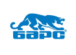 Барс